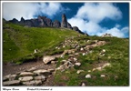 Reaching my Dream...Old Man of Storr